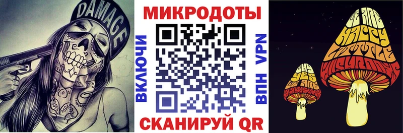 Галлюциногенные грибы Psilocybe  где купить наркотик  Обоянь 